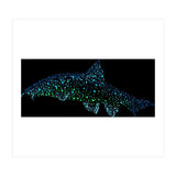 Barbel Fish (Print Only) thumbnail
