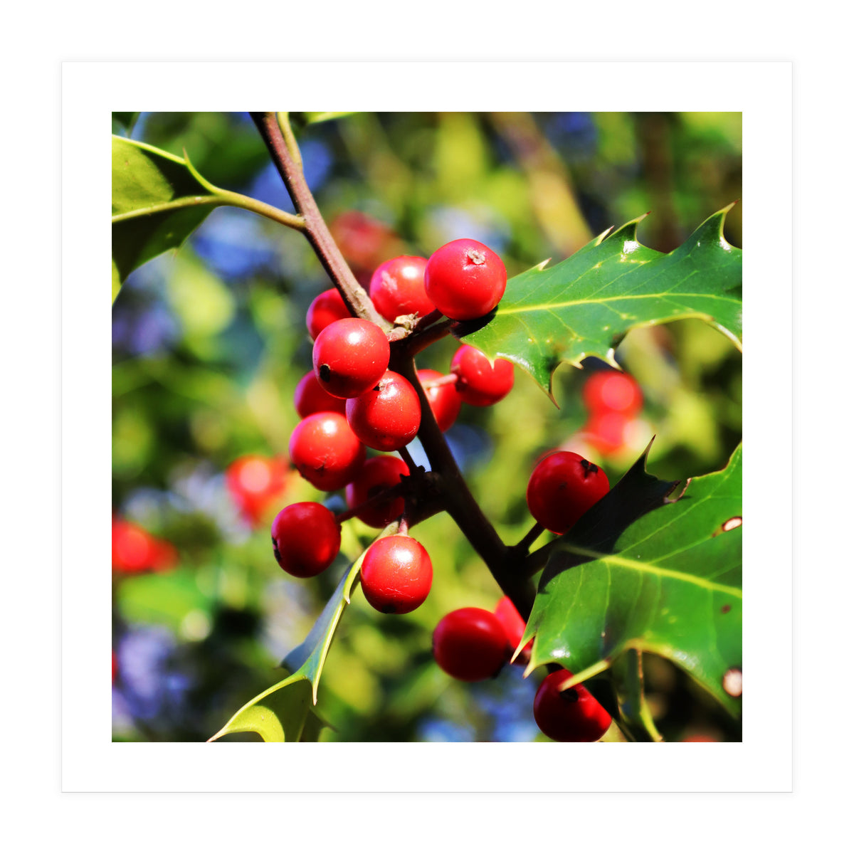 Fab454 Da 548 B 4252 8566 Cb9 Ccef07 Bda (Print Only)