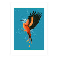 Tropical flying bird (Print Only)