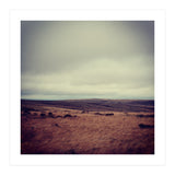 Bleak winter landscape of Saddleworth Moor  (Print Only) thumbnail