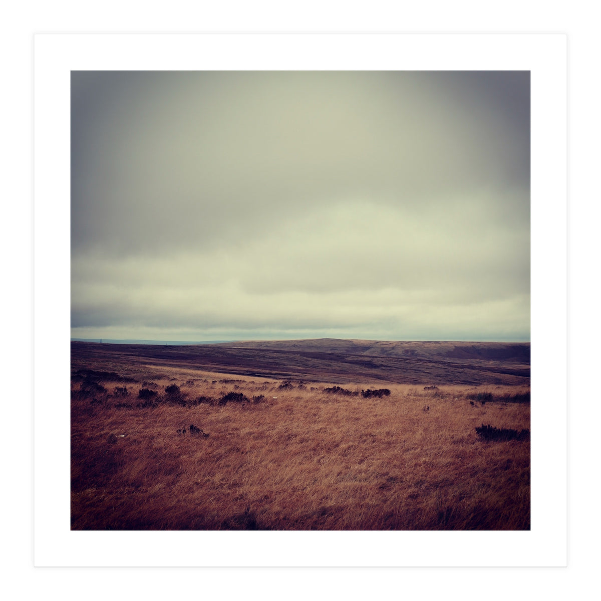 Bleak winter landscape of Saddleworth Moor  (Print Only)