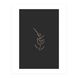 Delicate Golden Fynbos Botanicals on Black (Print Only) thumbnail