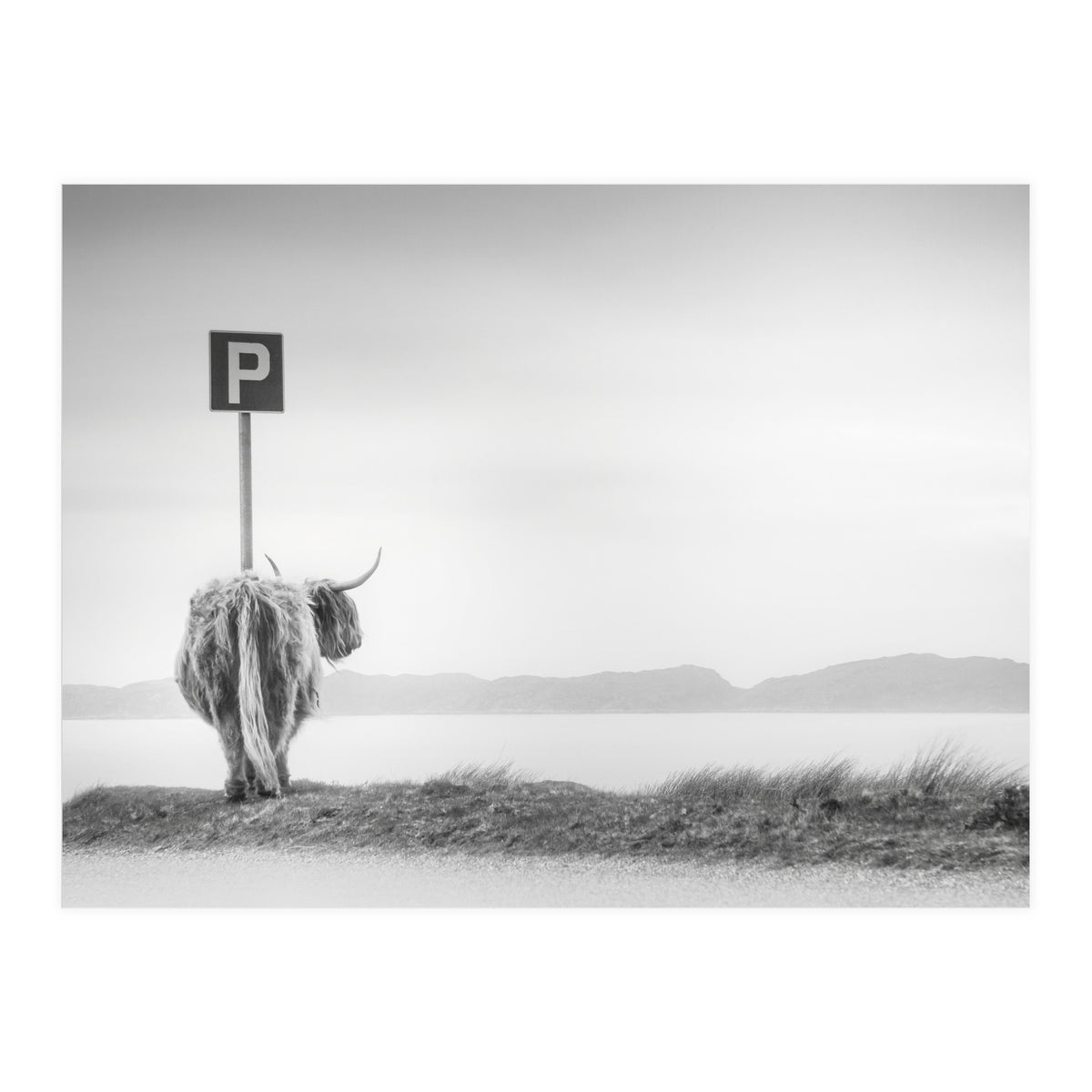 Highland Visitor (Print Only)