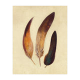 Three Feathers (Print Only) thumbnail