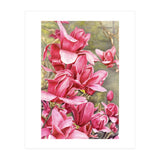 Magnolia 5 (Print Only) thumbnail