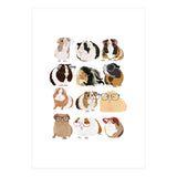 Guinea Pigs in Glasses (Print Only) thumbnail
