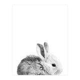 Black and White Bunny Portrait (Print Only) thumbnail