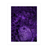 Deep purple (Print Only) thumbnail