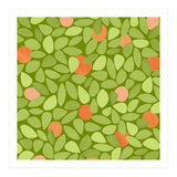 Orange Tree (Print Only) thumbnail