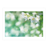 Nature (Print Only) thumbnail