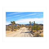 Joshua Tree II (Print Only) thumbnail