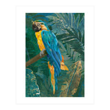 Macaw Meditation in the tropical jungle (Print Only) thumbnail