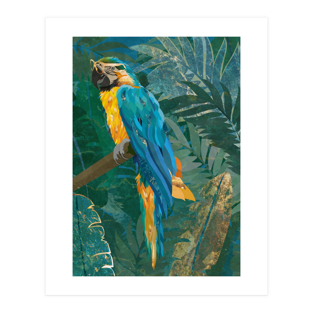 Macaw Meditation in the tropical jungle (Print Only)