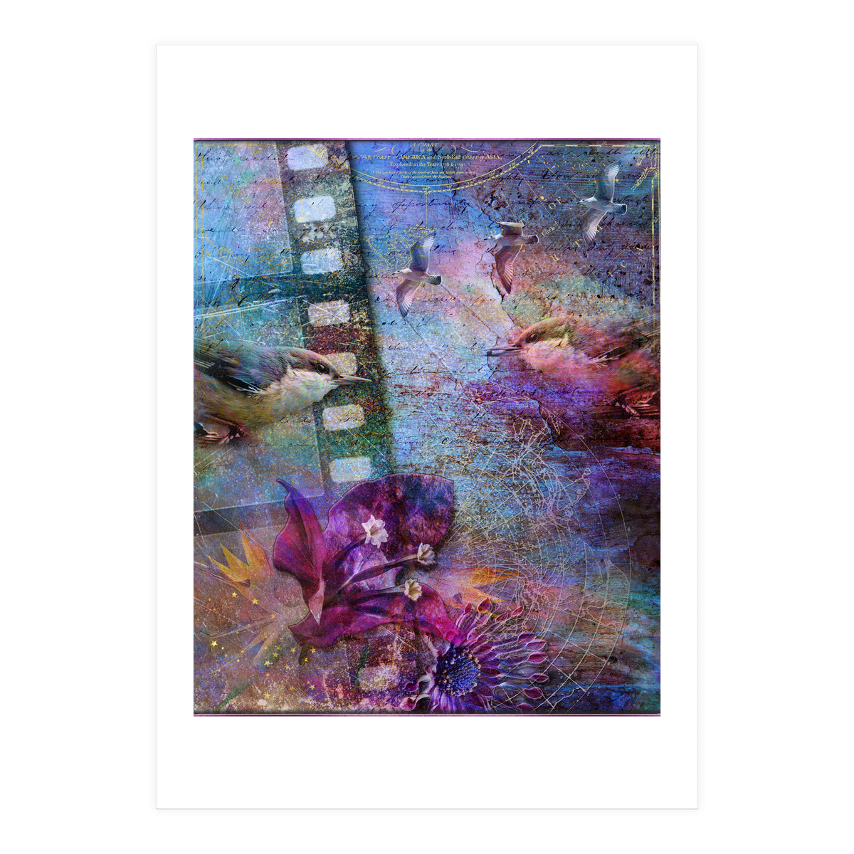 Watching the Wild World (Print Only)