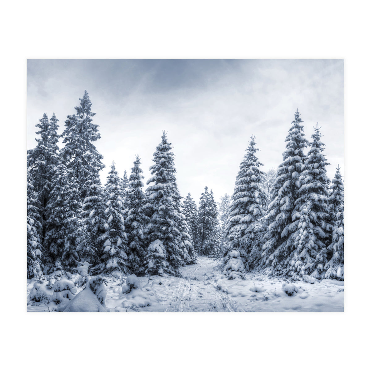 Winterland (Print Only)