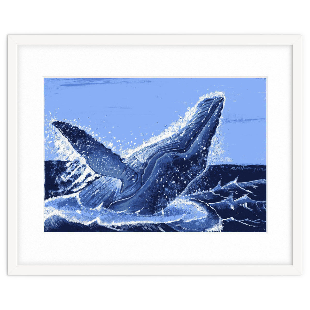 Humpback Whale Breaching