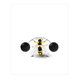 The Super Wasp (Print Only) thumbnail