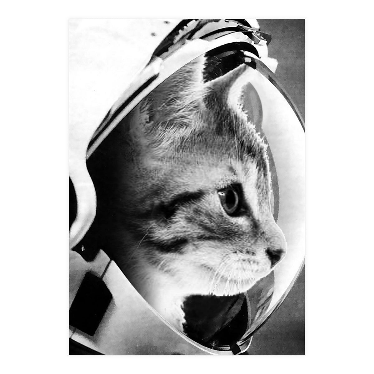 Astrocat (Print Only)
