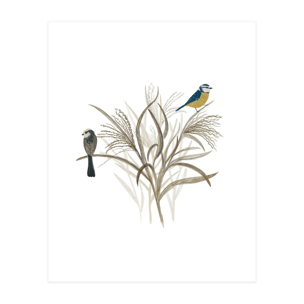 Garden Birds (Print Only)