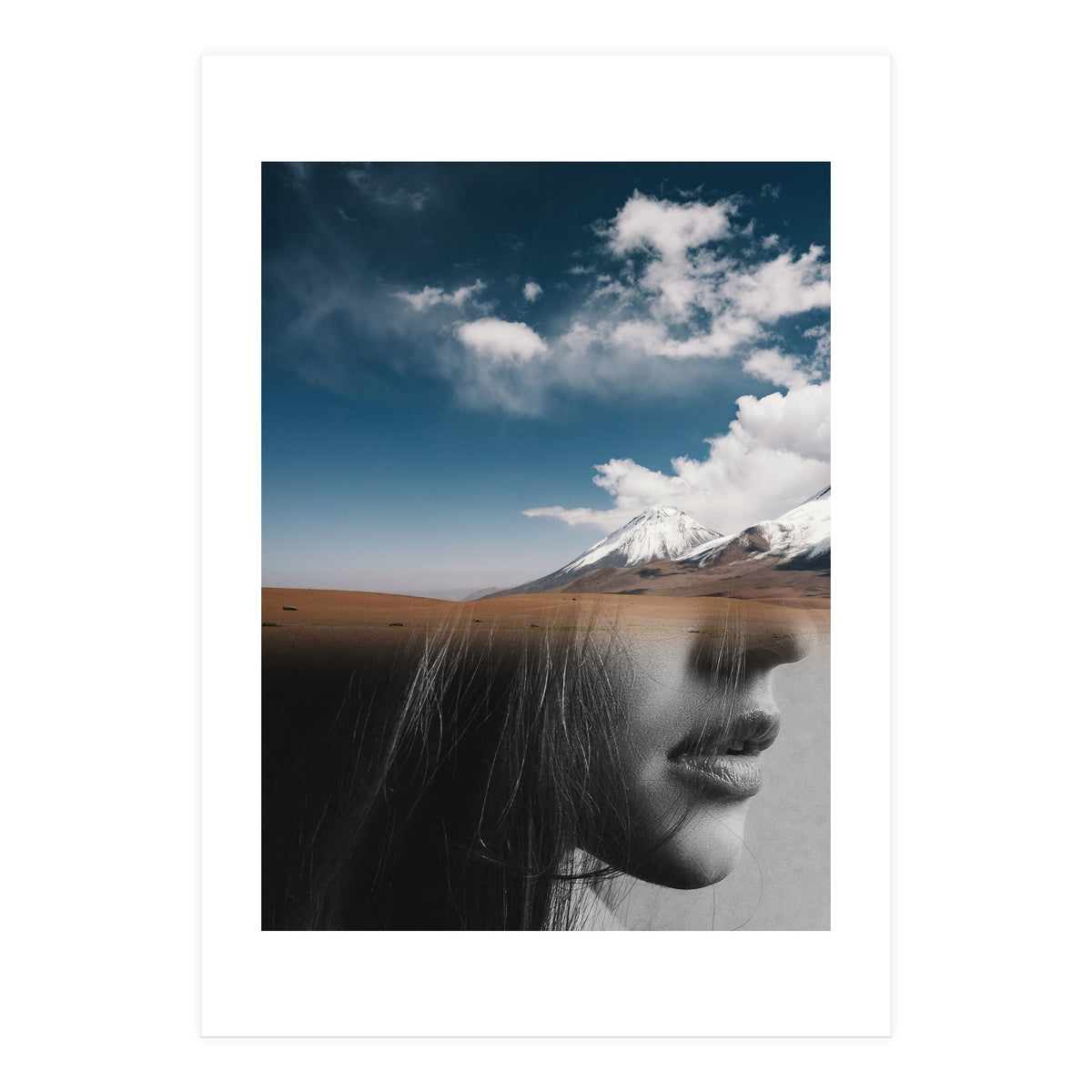 Dream Division 5 (Print Only)