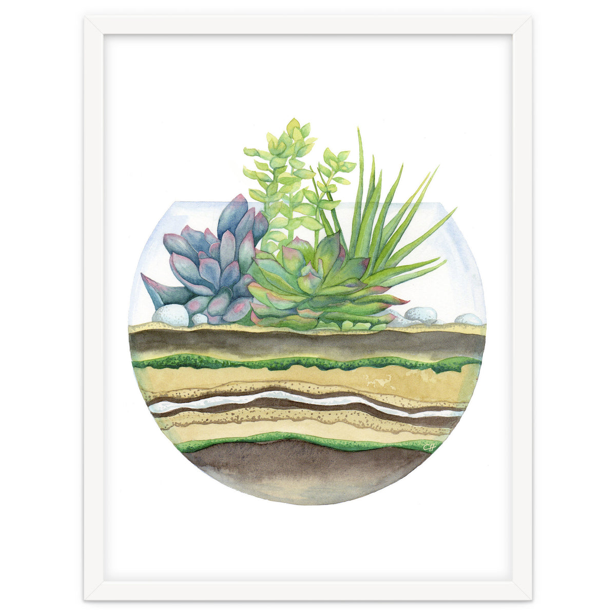 A Little Green Terrarium