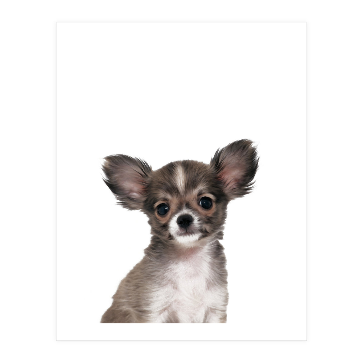 Chihuahua (Print Only)