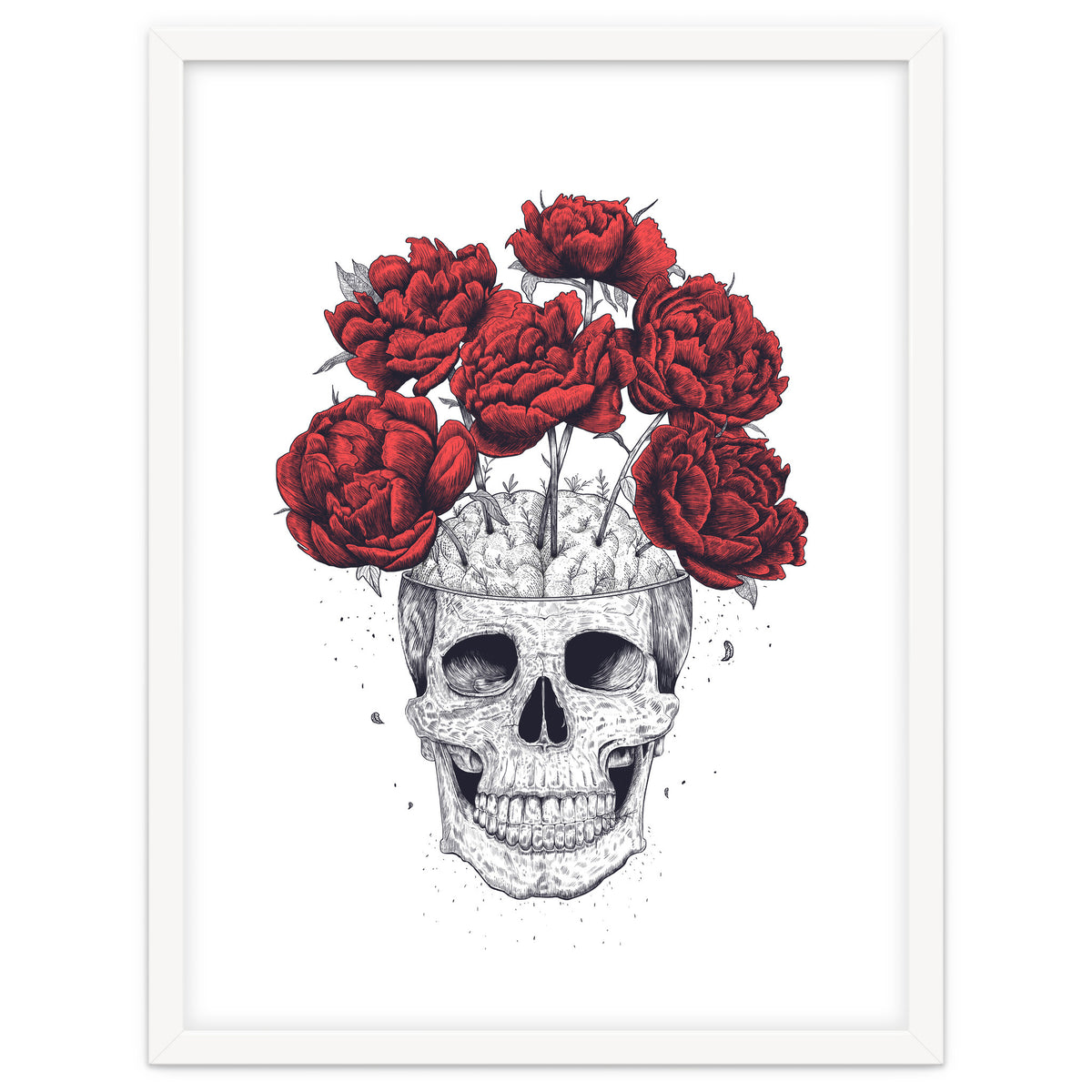 Skull With Peonies