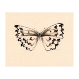 Butterfly (Print Only) thumbnail