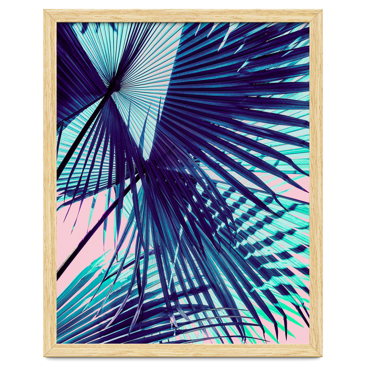 Palm leaf on the beach