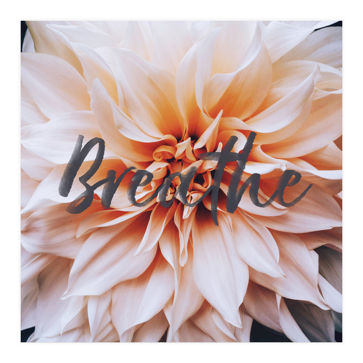 Breathe  (Print Only)