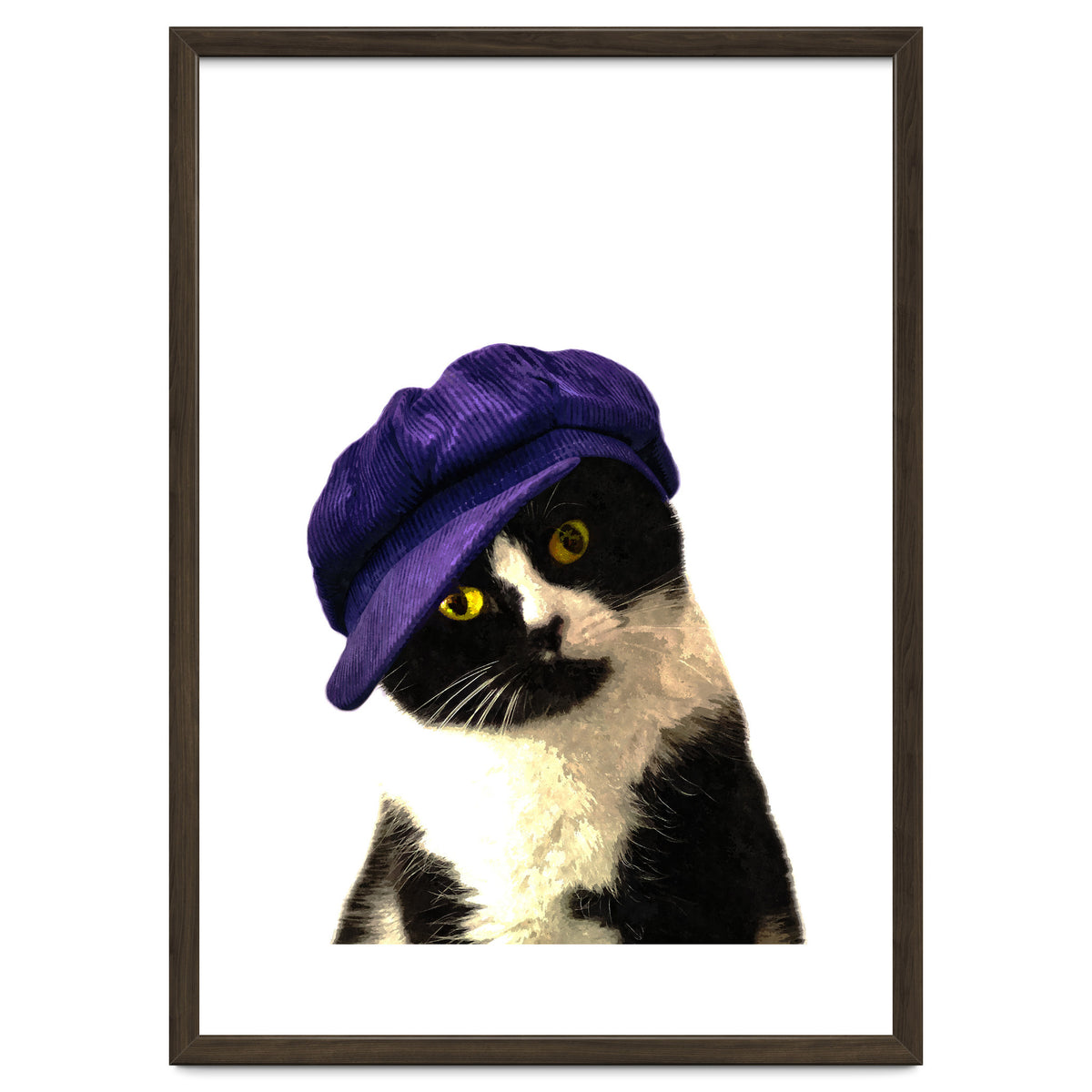 Cat Blue Hat