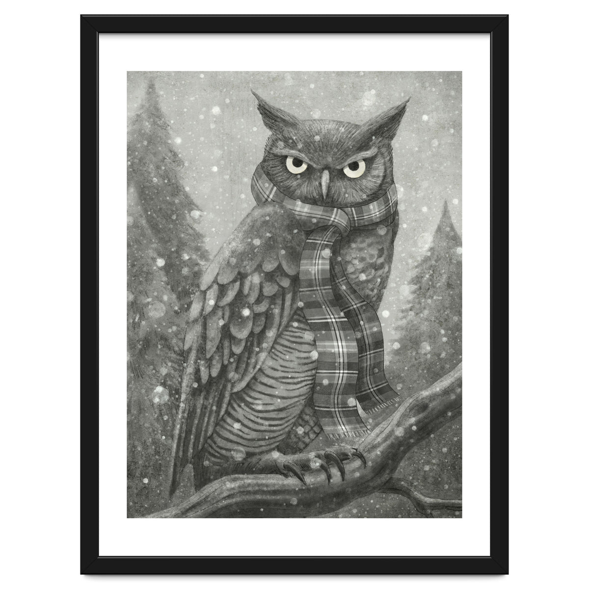 Winter Owl