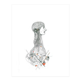 Anatomy (Print Only) thumbnail