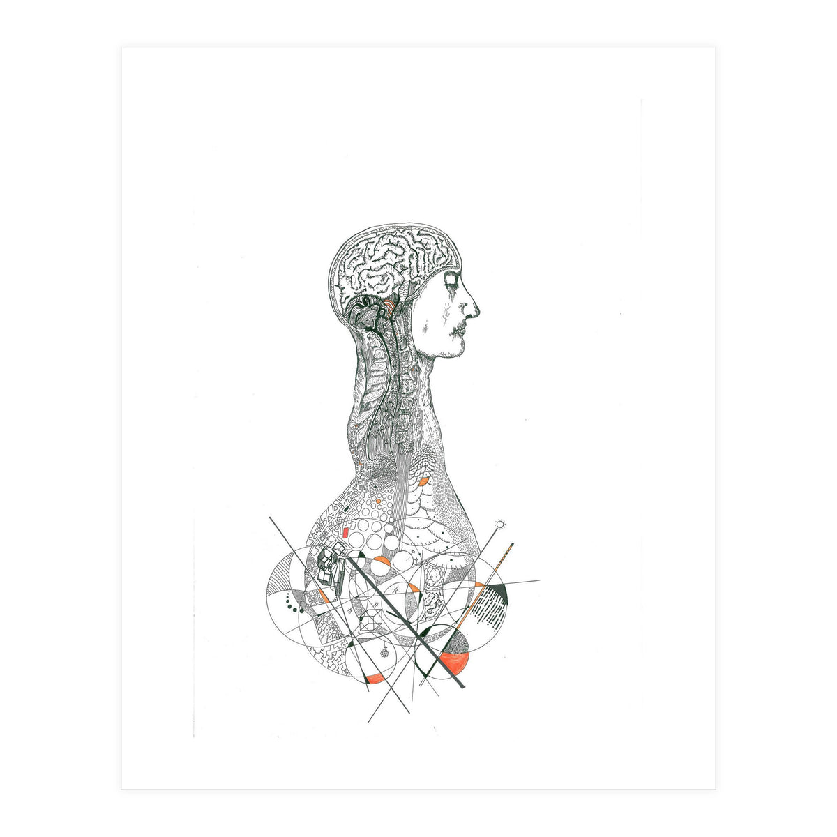 Anatomy (Print Only)