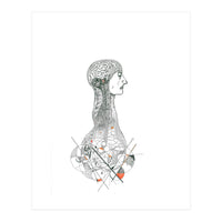Anatomy (Print Only)