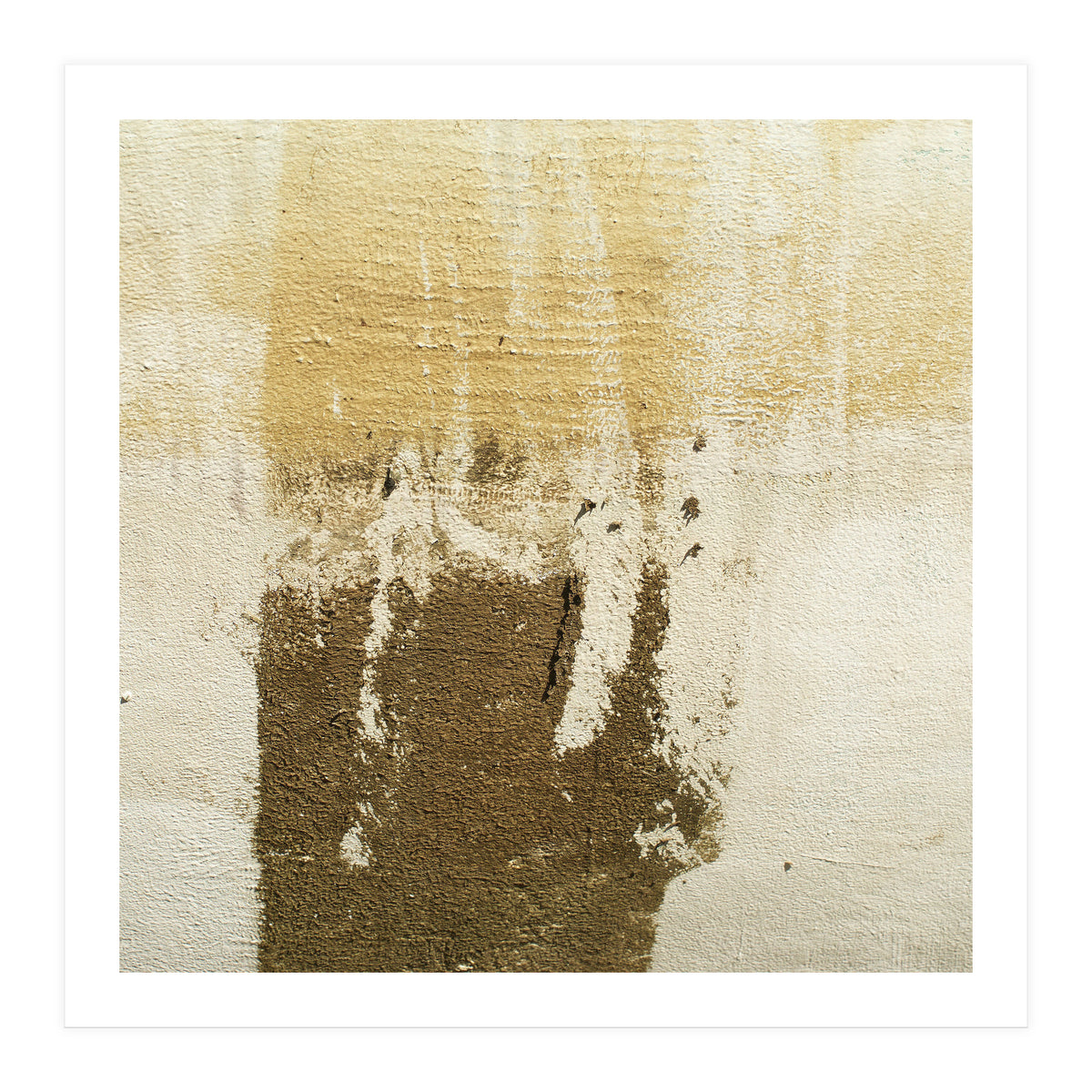 Harmony (Print Only)