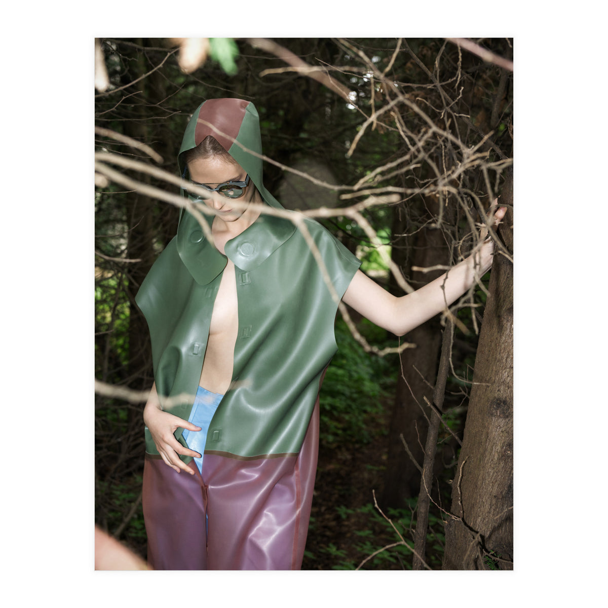 Camouflaged Animals (Print Only)