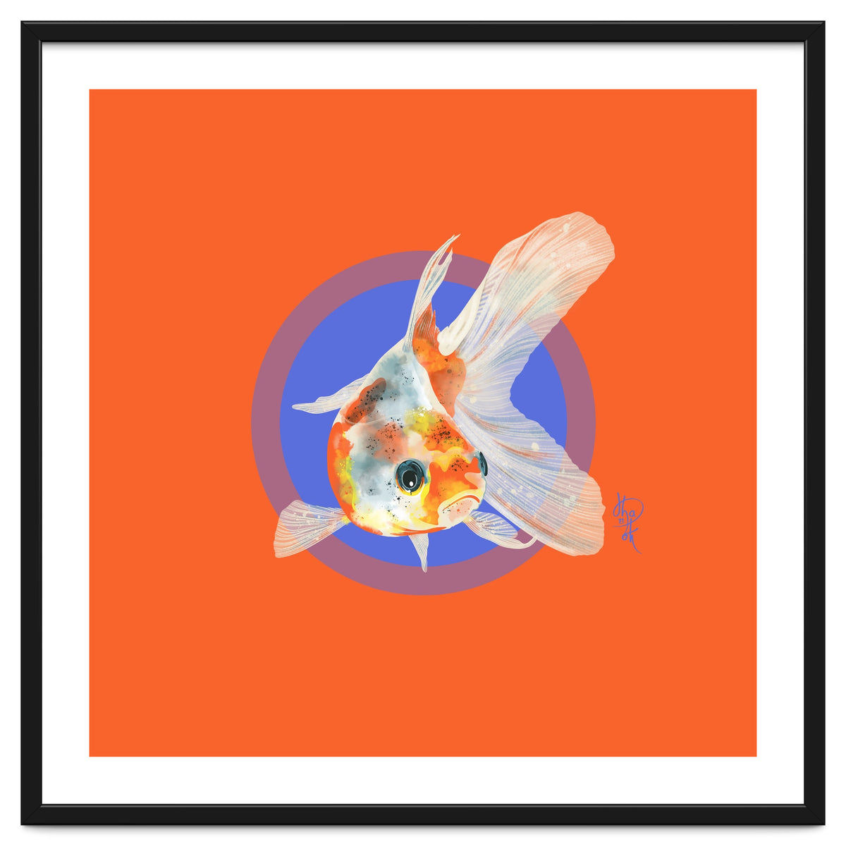 Koi Carp