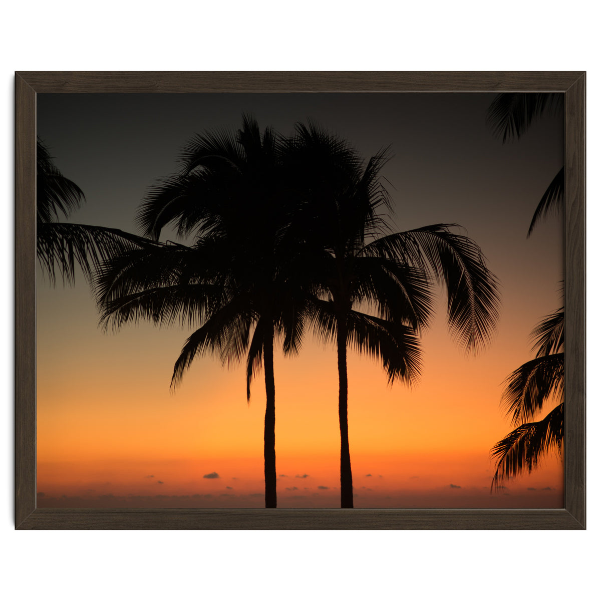 Mexico, November nights