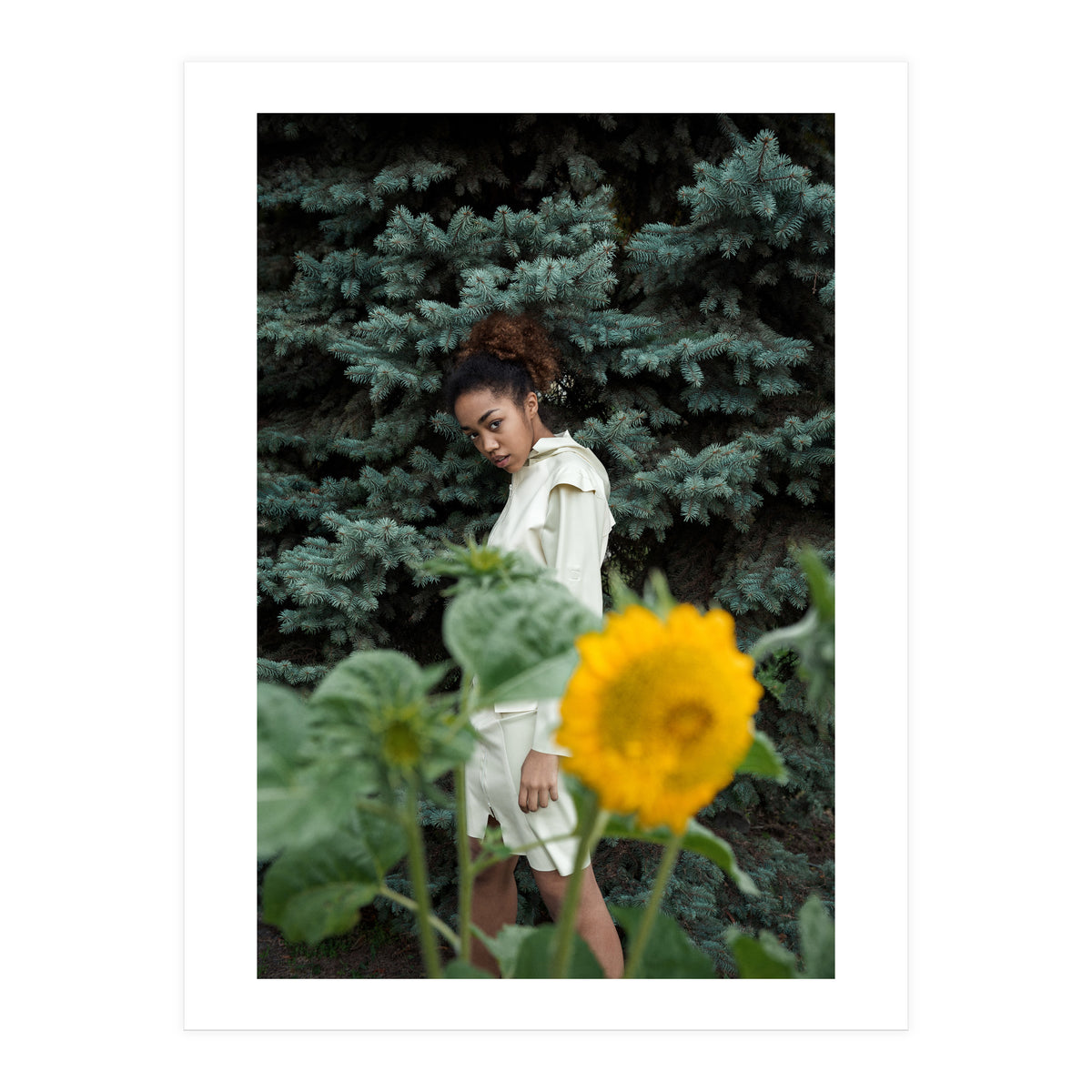 Northern Comfort (Print Only)