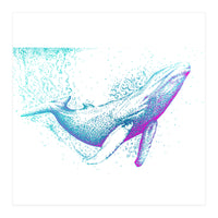 Diving Blue Whale (Print Only)