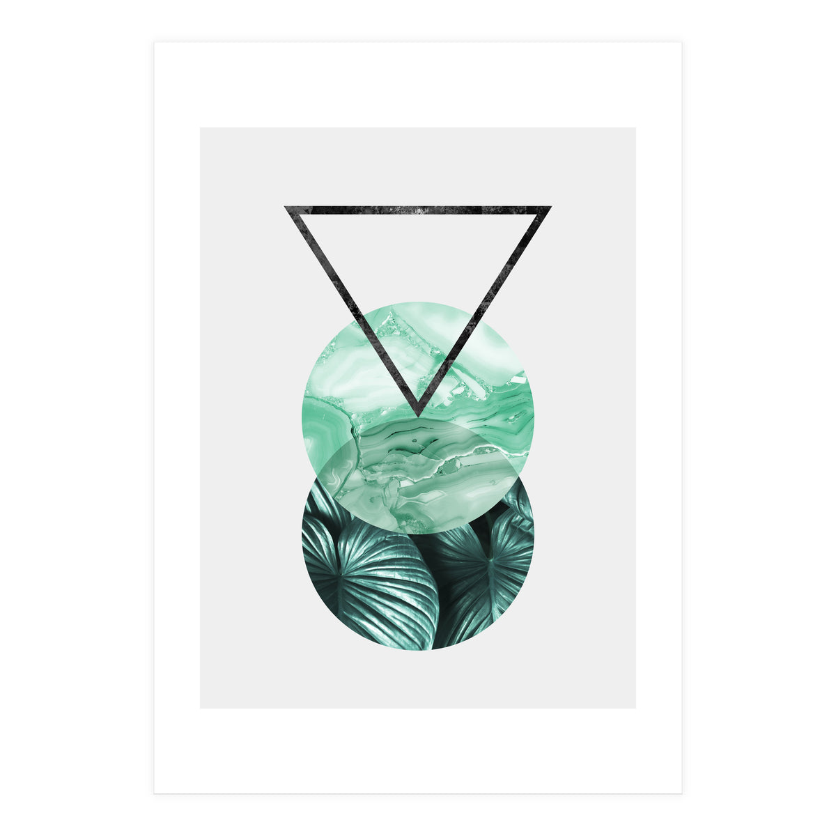 Botanical and geometric II (Print Only)
