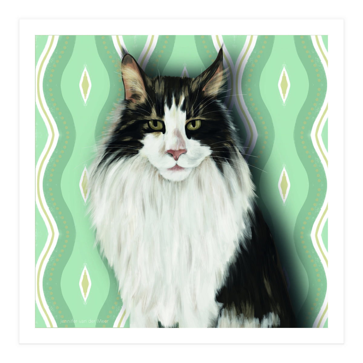 Cat 7: Django (Print Only)