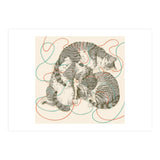 Cats (Print Only) thumbnail