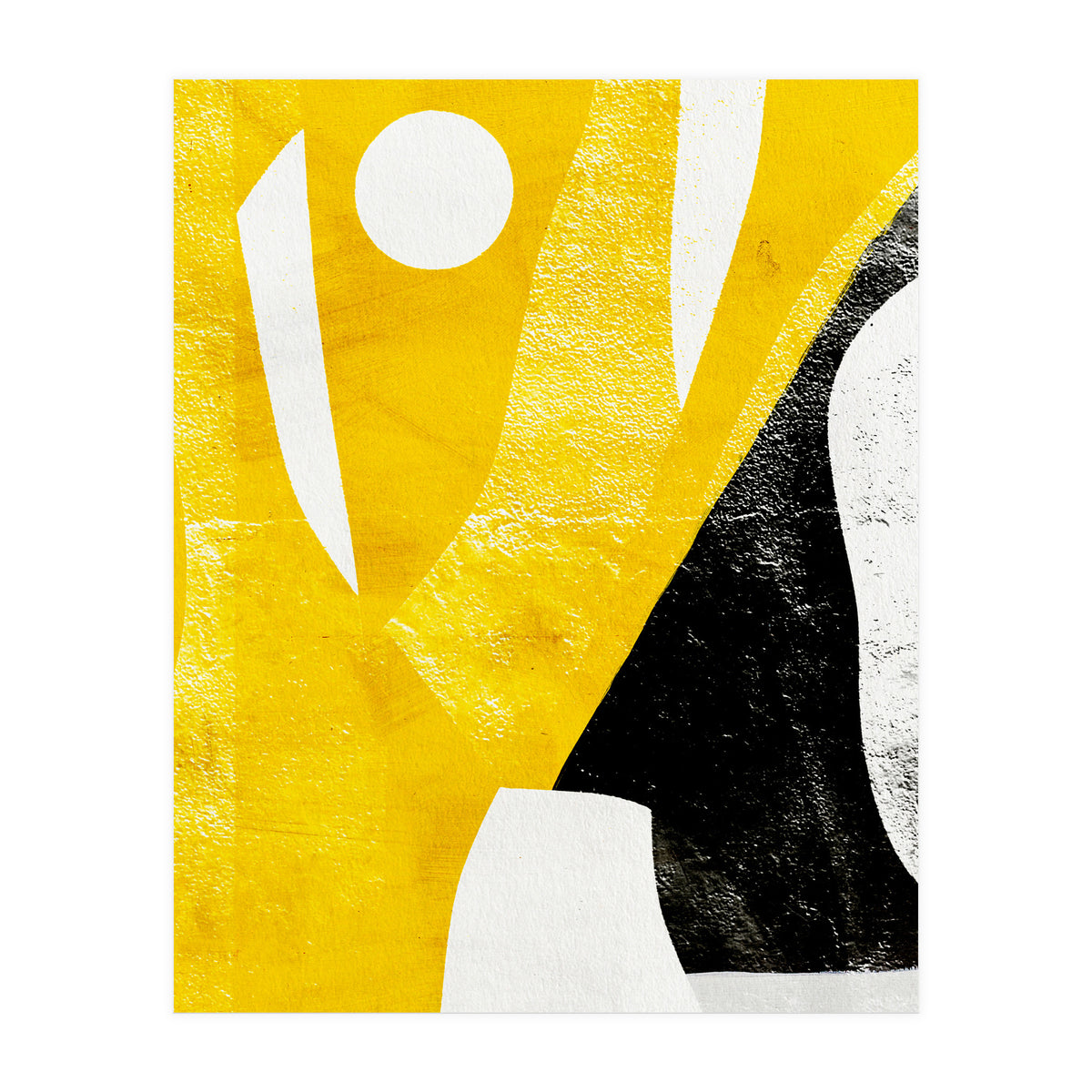 Coiote 2 (Print Only)