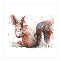 Squirrel - Wildlife Collection (Print Only)