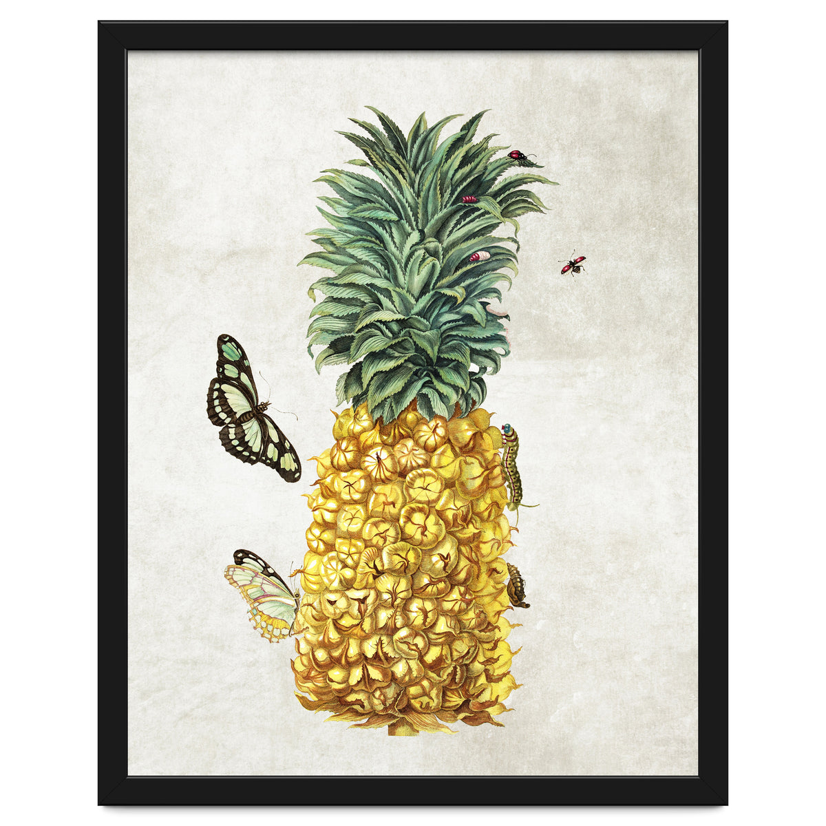 ananas