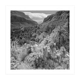 Los Palmitos (Print Only) thumbnail