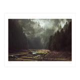 Foggy Forest Creek (Print Only) thumbnail