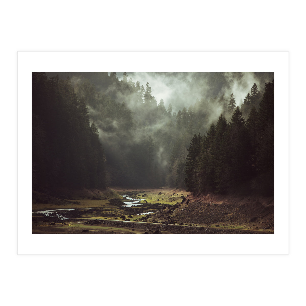 Foggy Forest Creek (Print Only)